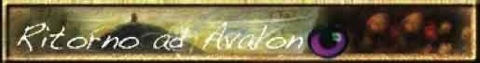 banner-ritorno